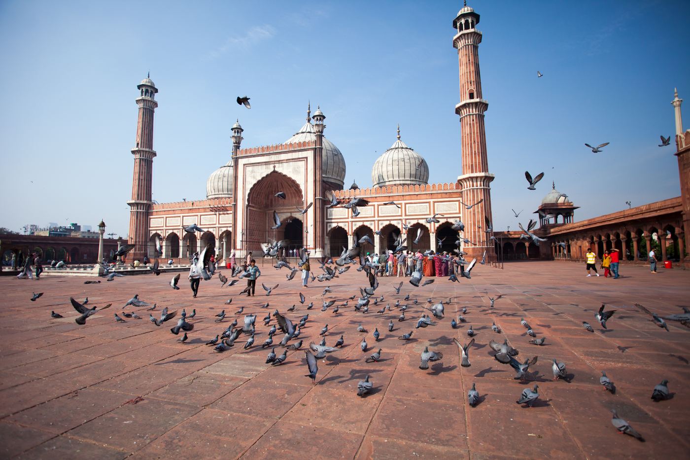Old & New Delhi — A Private Half-Day Or Full-Day City Tour — photo 2