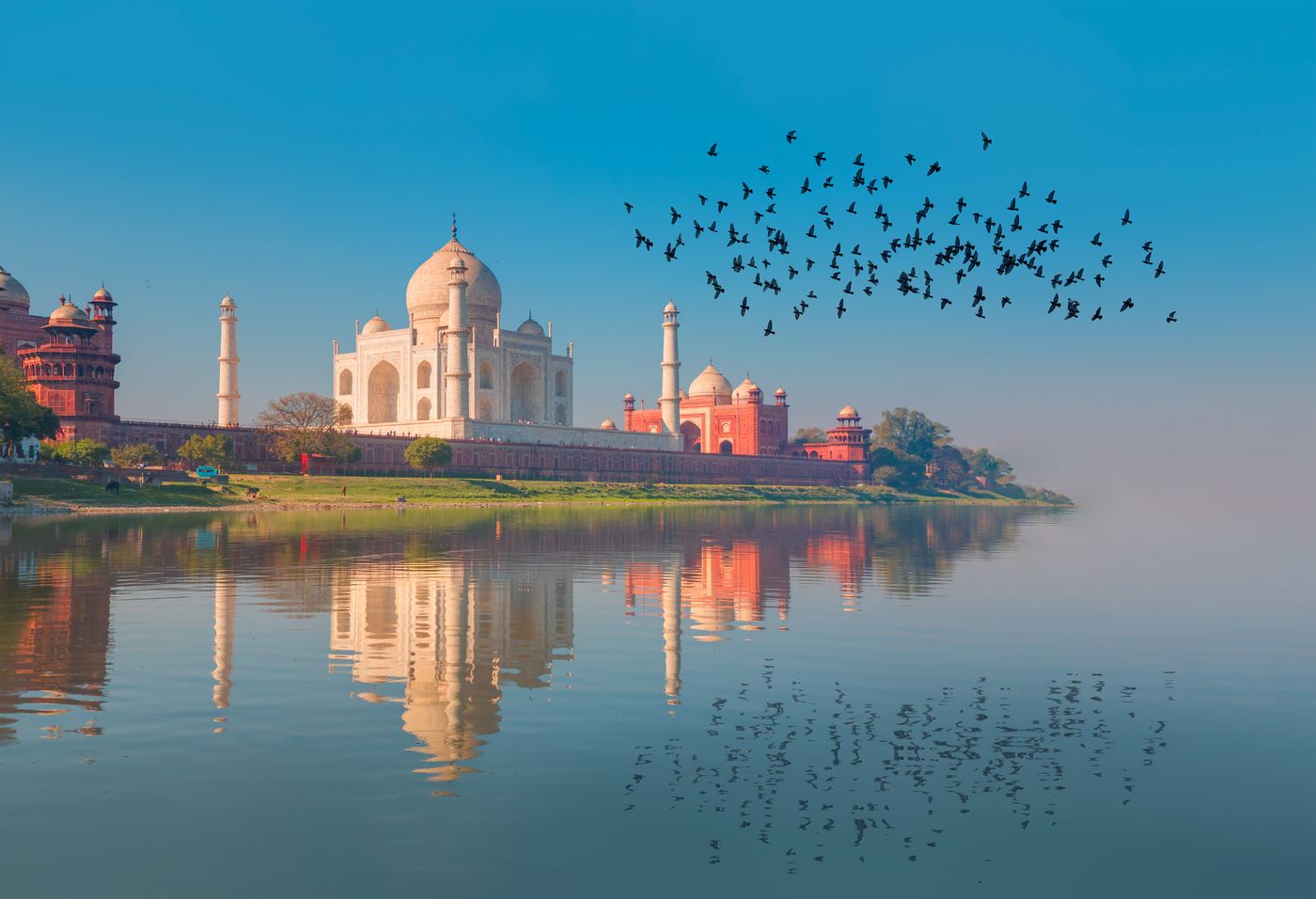 5-Day Golden Triangle With Ranthambore — photo 3