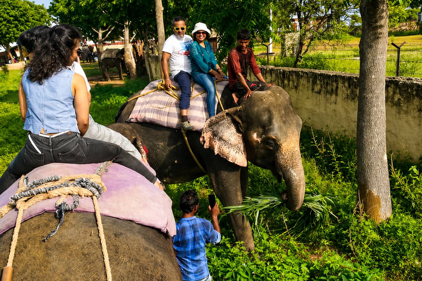 Elephant Village Visit — photo 5