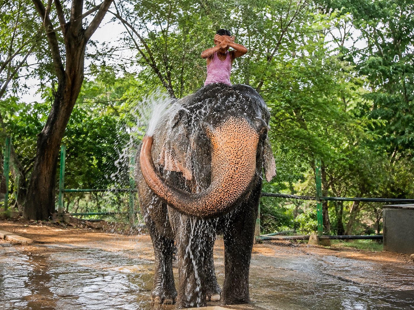 Bath Time