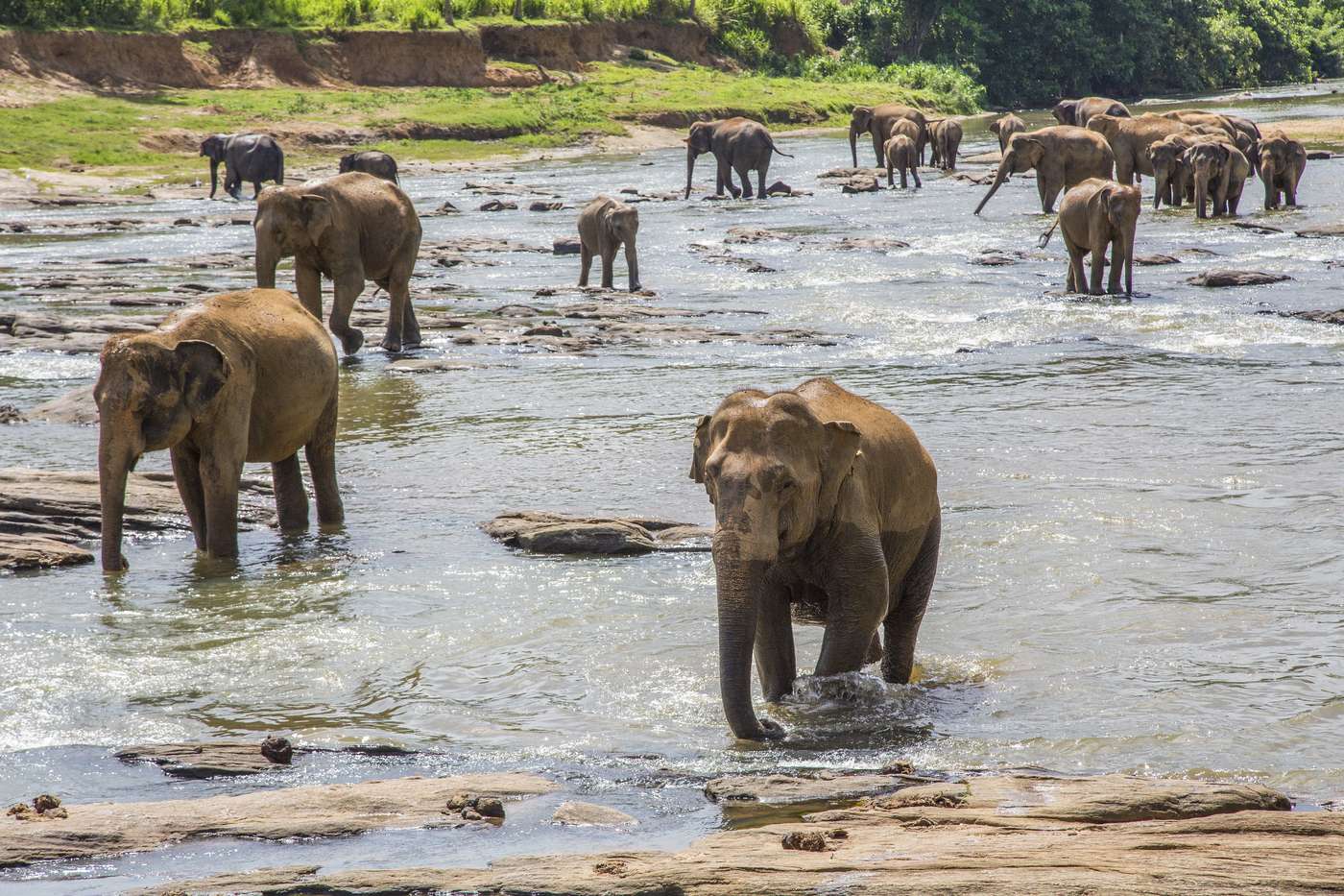 Elephant Village (Optional Experience)
