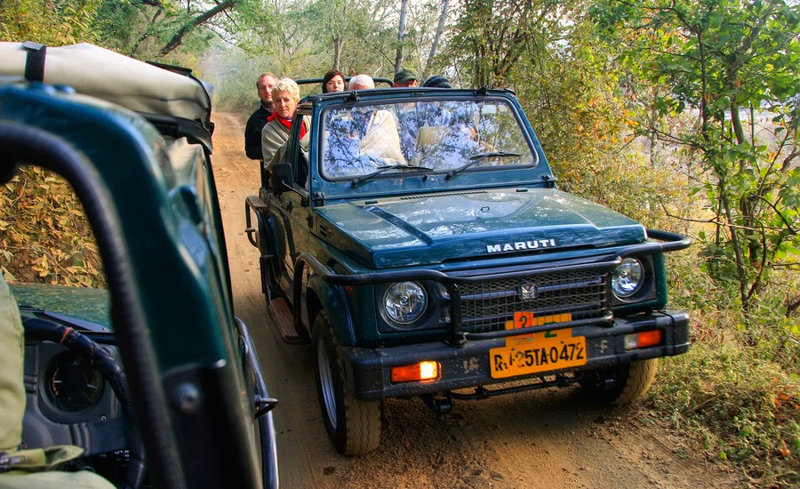 Jhalana Leopard Safari — photo 1